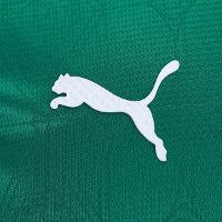 Camisa Palmeiras I 25/26 s/n Jogador Puma Masculina - 6