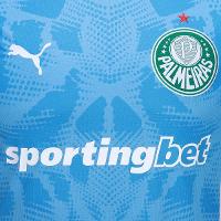 Camisa de Goleiro Palmeiras I 25/26 s/n Torcedor Puma Masculina - 3