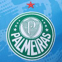 Camisa de Goleiro Palmeiras I 25/26 s/n Torcedor Puma Masculina - 6