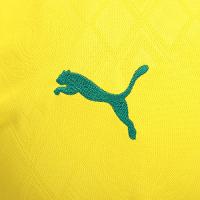 Camisa Palmeiras III 25/26 s/n Torcedor Puma Masculina