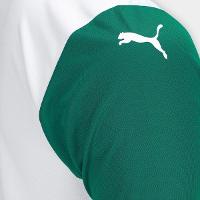 Camisa Palmeiras II 25/26 s/n Torcedor Puma Masculina - 5
