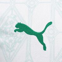 Camisa Palmeiras II 25/26 s/n Torcedor Puma Masculina