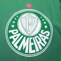 Camisa Palmeiras Line Masculina