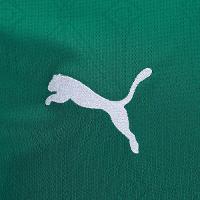 Camisa Palmeiras I 25/26 s/n Torcedor Puma Masculina