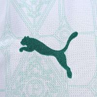 Camisa Palmeiras II 25/26 s/n Torcedor Puma Masculina