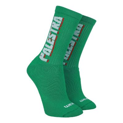 Meia Palmeiras Rikam