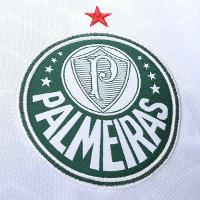 Camisa Palmeiras Score II Masculina - 3