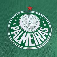 Camisa Palmeiras Line Feminina - 3