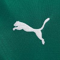 Camisa Palmeiras Puma Torcedor I 25/26 s/n Feminina