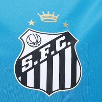 Camiseta Santos Asthor Masculina