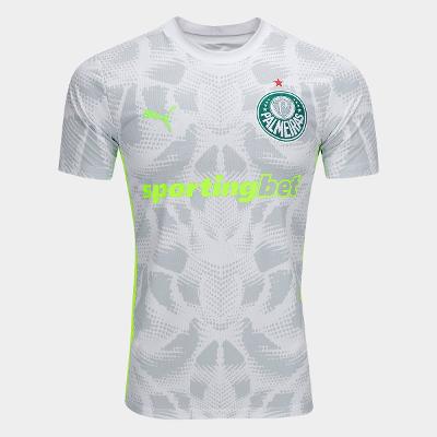 Camisa de Goleiro Palmeiras III 25/26 s/n Torcedor Puma Masculina