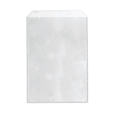 Envelope Plástico ACP Aba Solapa 23x32x4cm PCT 100UN