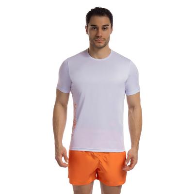 Camiseta Basic Logo Olympikus Masculina