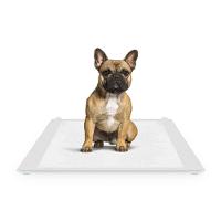 Tapete Higiênico Duo Dia 85x60cm Petmais - 6