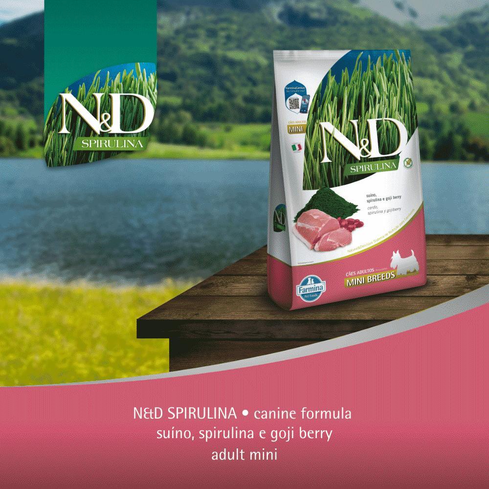 Ração N&amp;D Spirulina Cães Adultos Mini Suíno - 9