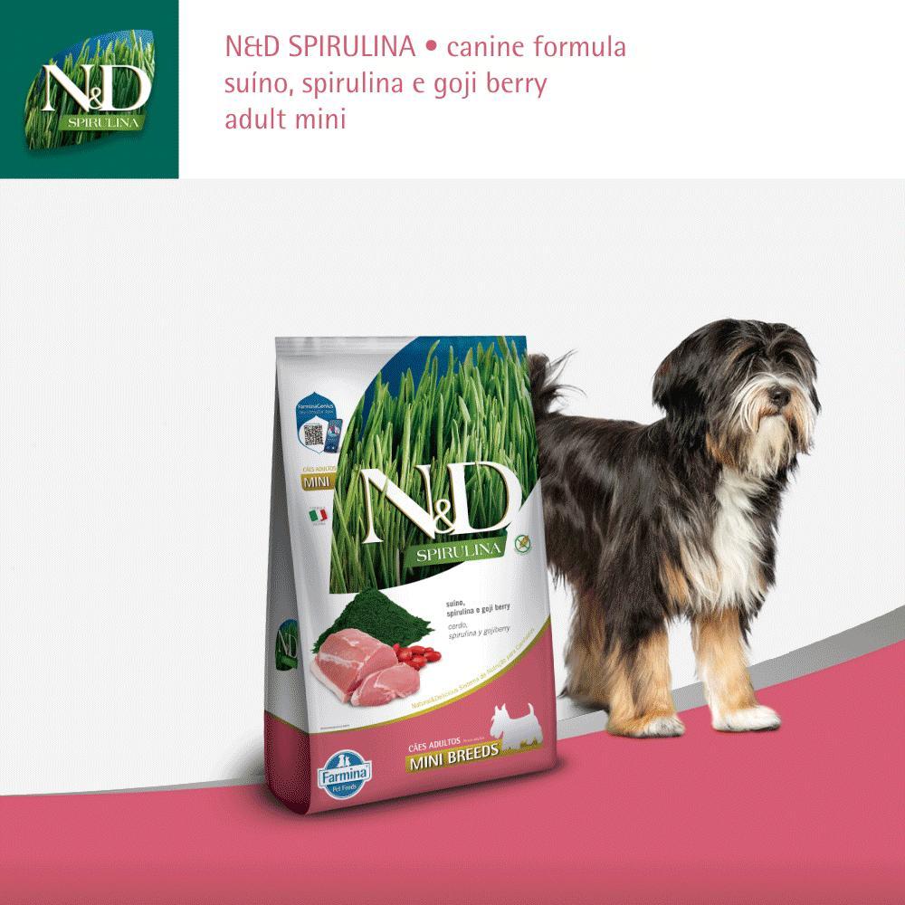 Ração N&amp;D Spirulina Cães Adultos Mini Suíno - 10