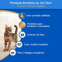 Ração Cat Chow Castrados Peixe