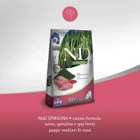 Ração N&amp;D Spirulina Cães Puppy Medium e Maxi Suíno - 9