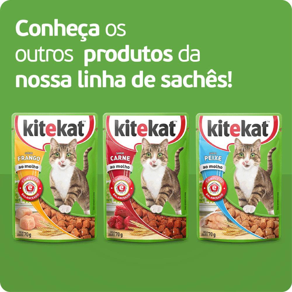 Ração Úmida KiteKat Sachê para Gatos Adultos Carne ao Molho - 6