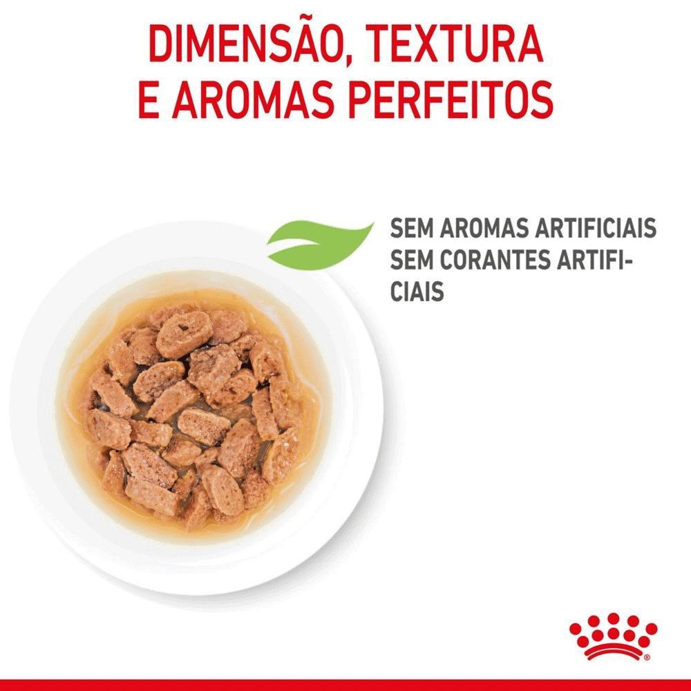Ração Úmida Royal Canin Mini Puppy Cães Filhotes - 4