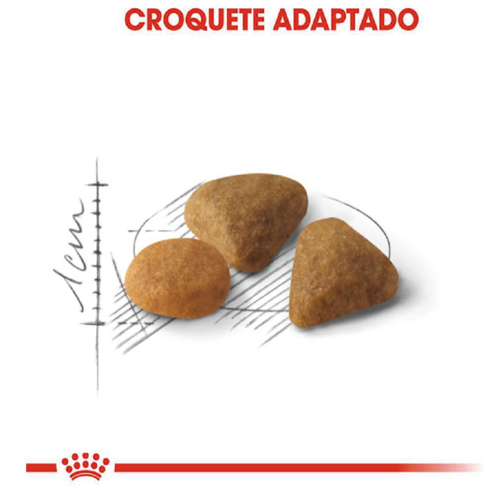 Ração Royal Canin Exigent para Gatos Adultos com Paladar Exigente - 3