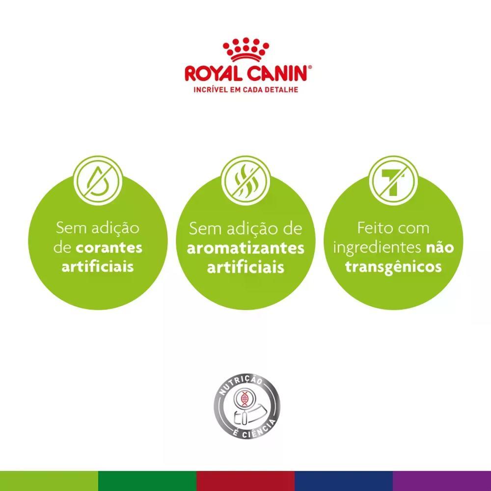 Ração Royal Canin Exigent para Gatos Adultos com Paladar Exigente - 4
