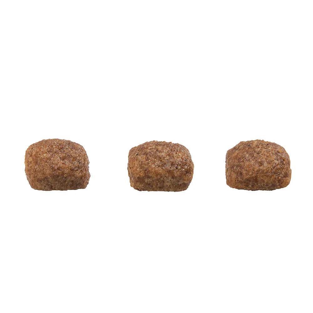 Ração GranPlus Menu Cães Adultos Mini Carne e Arroz - 3
