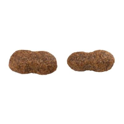 Ração Guabi Natural Cães Adultos Grande Salmão e Cevada