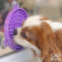 Comedouro Buddy Lambe para Cães e Gatos Buddy Toys - 5