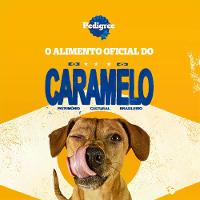 Biscoito Pedigree Biscrok para Cães Adultos Raças Grandes Leite - 5