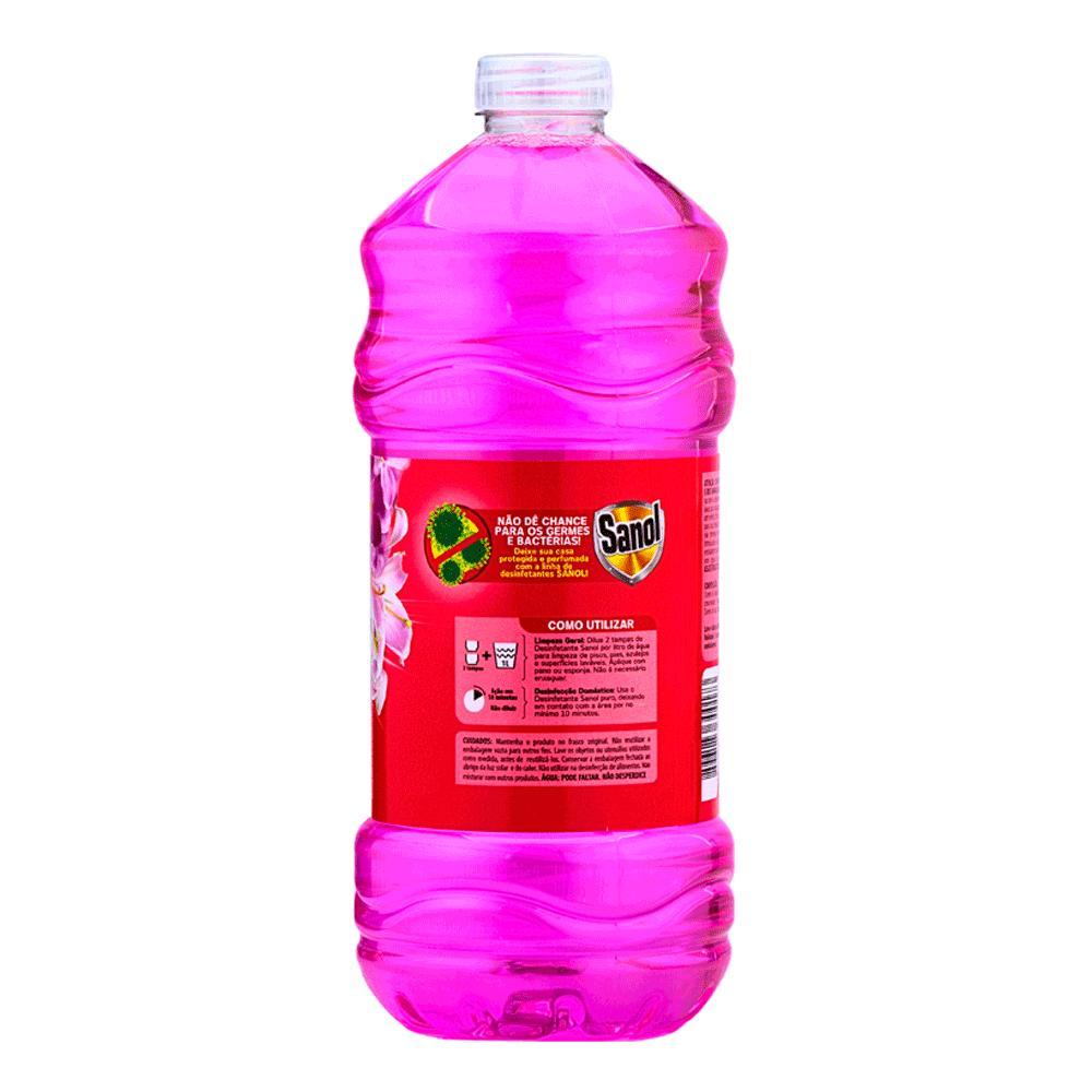 Desinfetante Bactericida Floral Sanol - 2