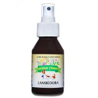 Floral Vet Spray Lambedura Psicogênico Animal Flower - 2