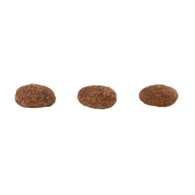 Ração Guabi Natural Cães Adultos Raças Mini e Pequeno Cordeiro e Aveia