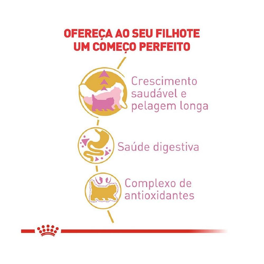 Ração Royal Canin Kitten Persa Gatos Filhotes - 4
