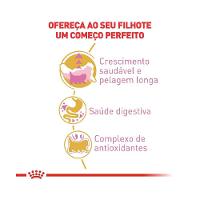 Ração Royal Canin Kitten Persa Gatos Filhotes