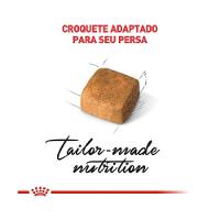 Ração Royal Canin Kitten Persa Gatos Filhotes - 6