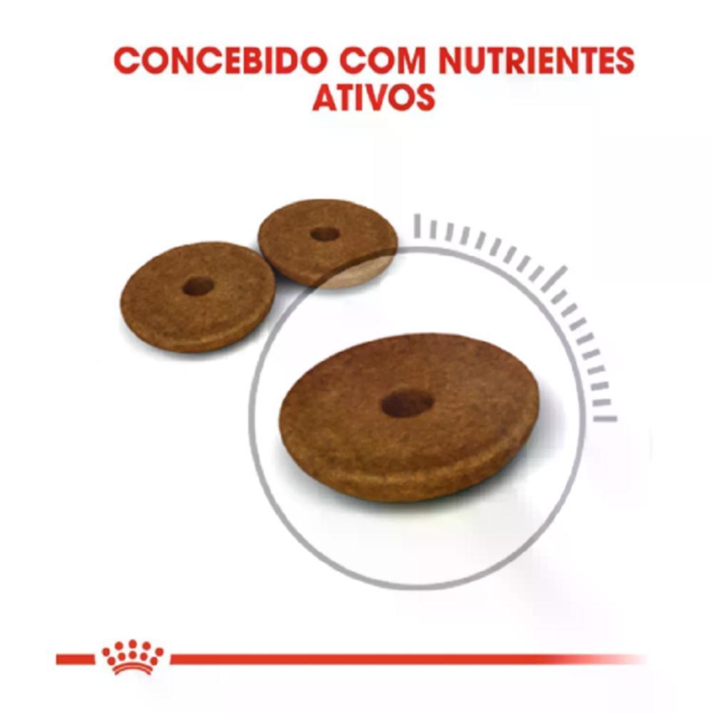 Ração Royal Canin Cuidado Digestivo para Gatos Adultos - 2