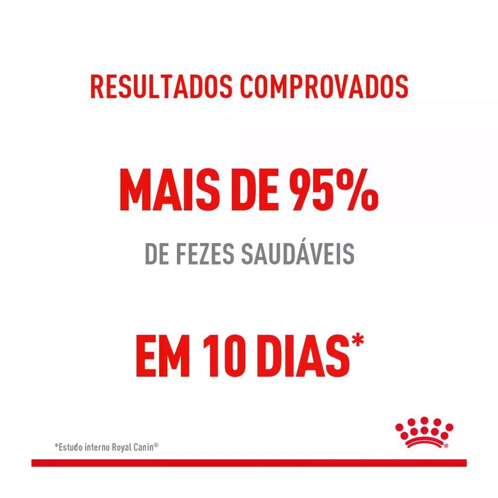 Ração Royal Canin Cuidado Digestivo para Gatos Adultos - 4