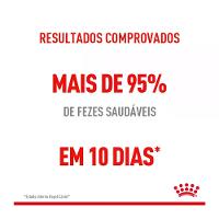 Ração Royal Canin Cuidado Digestivo para Gatos Adultos - 4