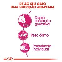 Ração Royal Canin Exigent para Gatos Adultos com Paladar Exigente - 2