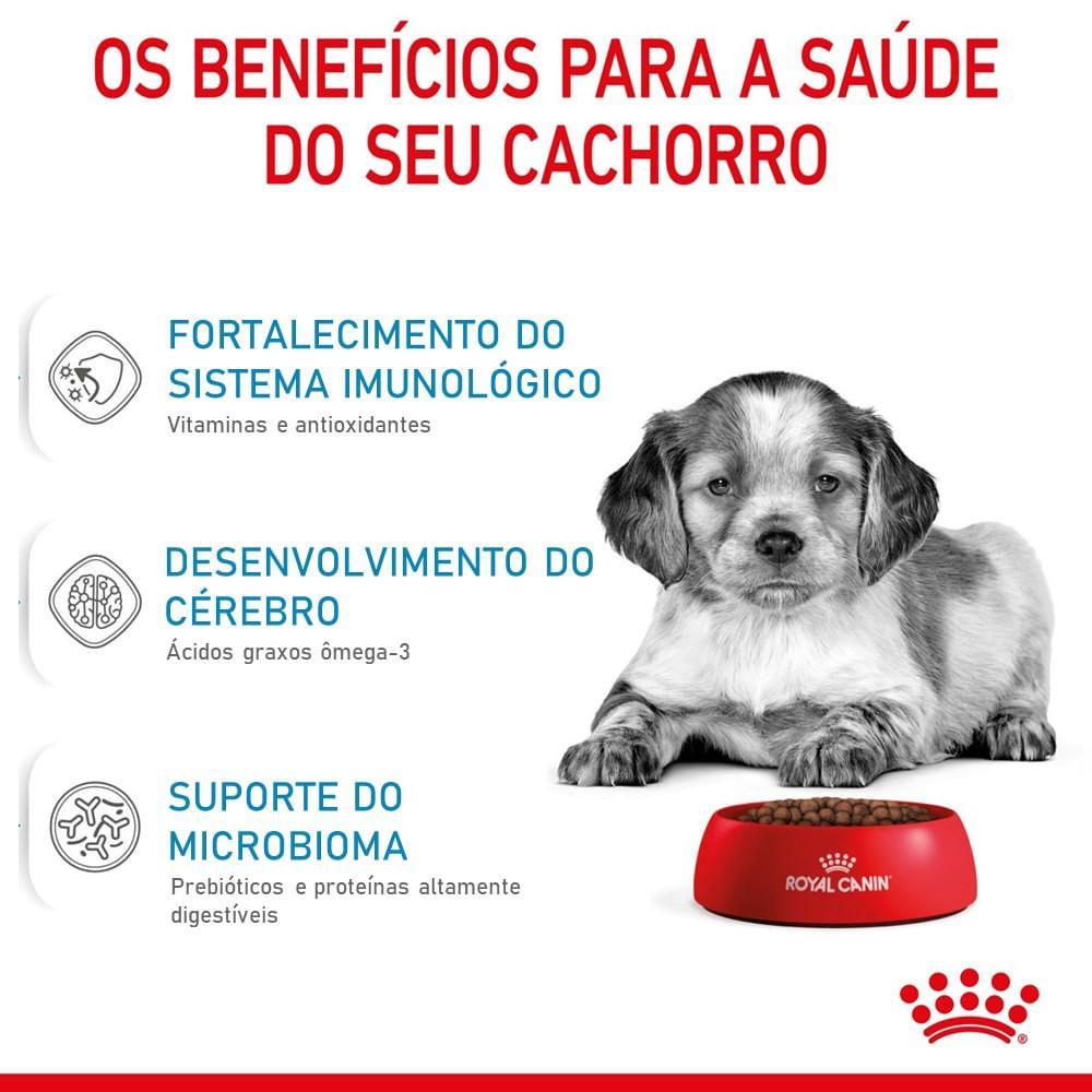Ração Royal Canin Medium Puppy para Cães Filhotes de Porte Médio - 3