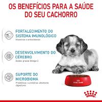 Ração Royal Canin Medium Puppy para Cães Filhotes de Porte Médio - 3