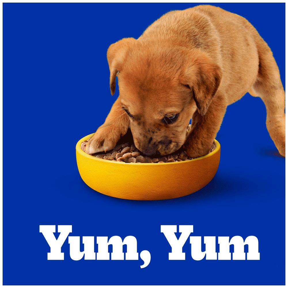 Ração Pedigree Cães Filhotes Raças Médias e Grandes Carne Frango e Cereais - 9