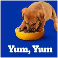 Ração Pedigree Cães Filhotes Raças Médias e Grandes Carne Frango e Cereais - 9