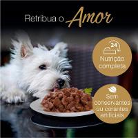 Ração Úmida Cesar para Cães Adultos Sachê Filé Mignon