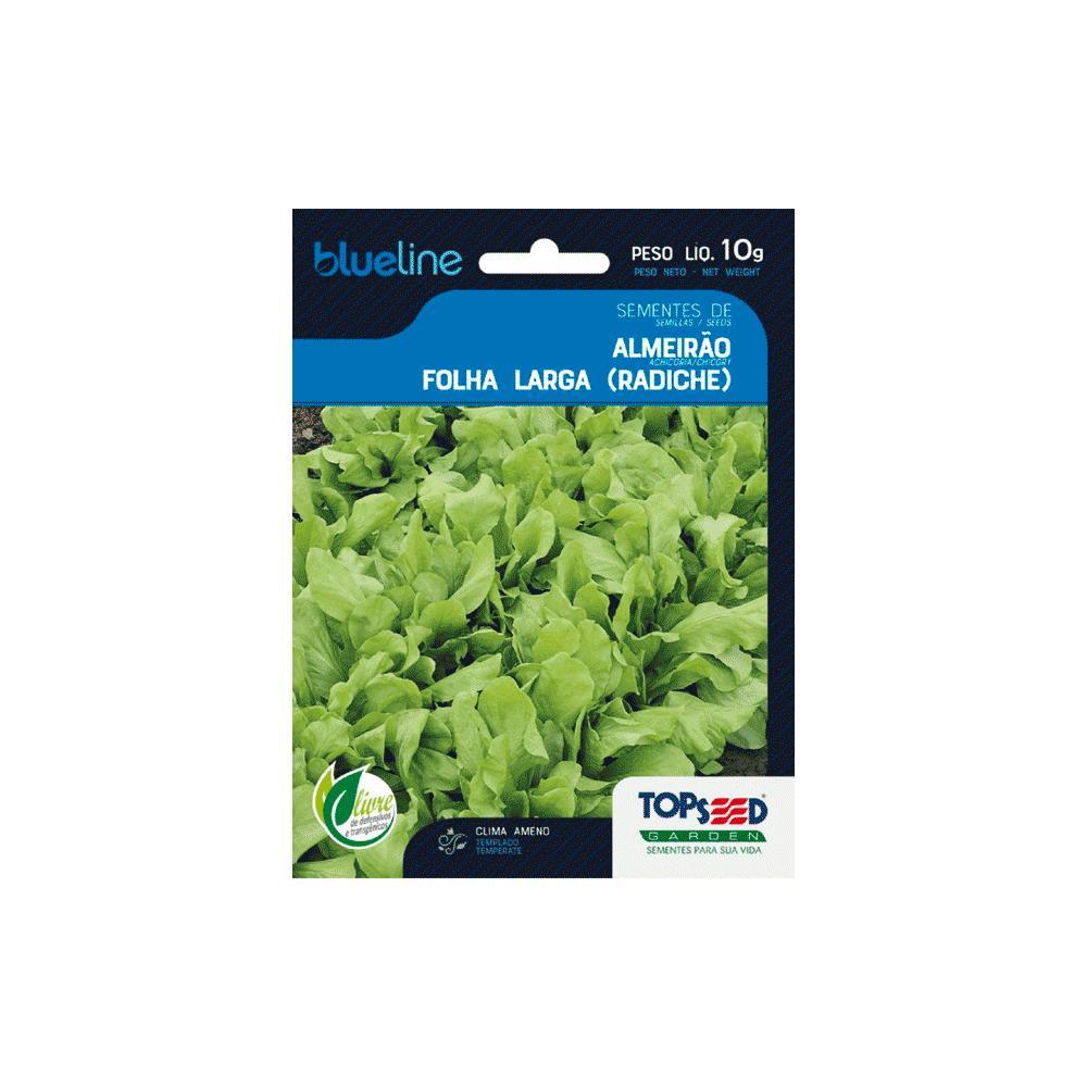 Sementes de Almeirão Folha Larga Blue Line Topseed Garden - 1