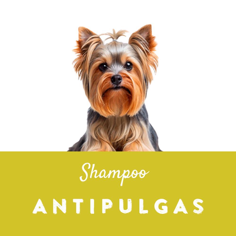 Shampoo Antipulgas para Cães Sanol - 4