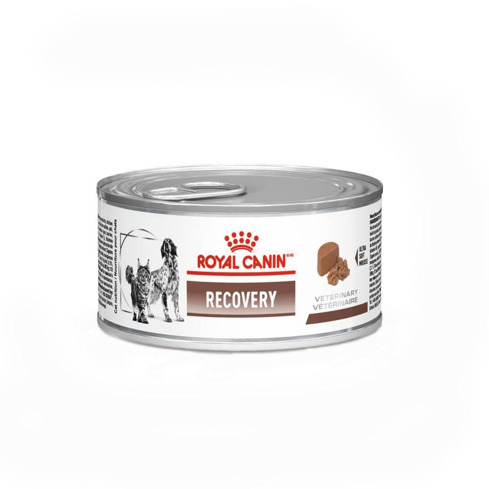 Ração Úmida Royal Canin Lata Veterinary Diet Recovery para Cães e Gatos em Recuperação - 1
