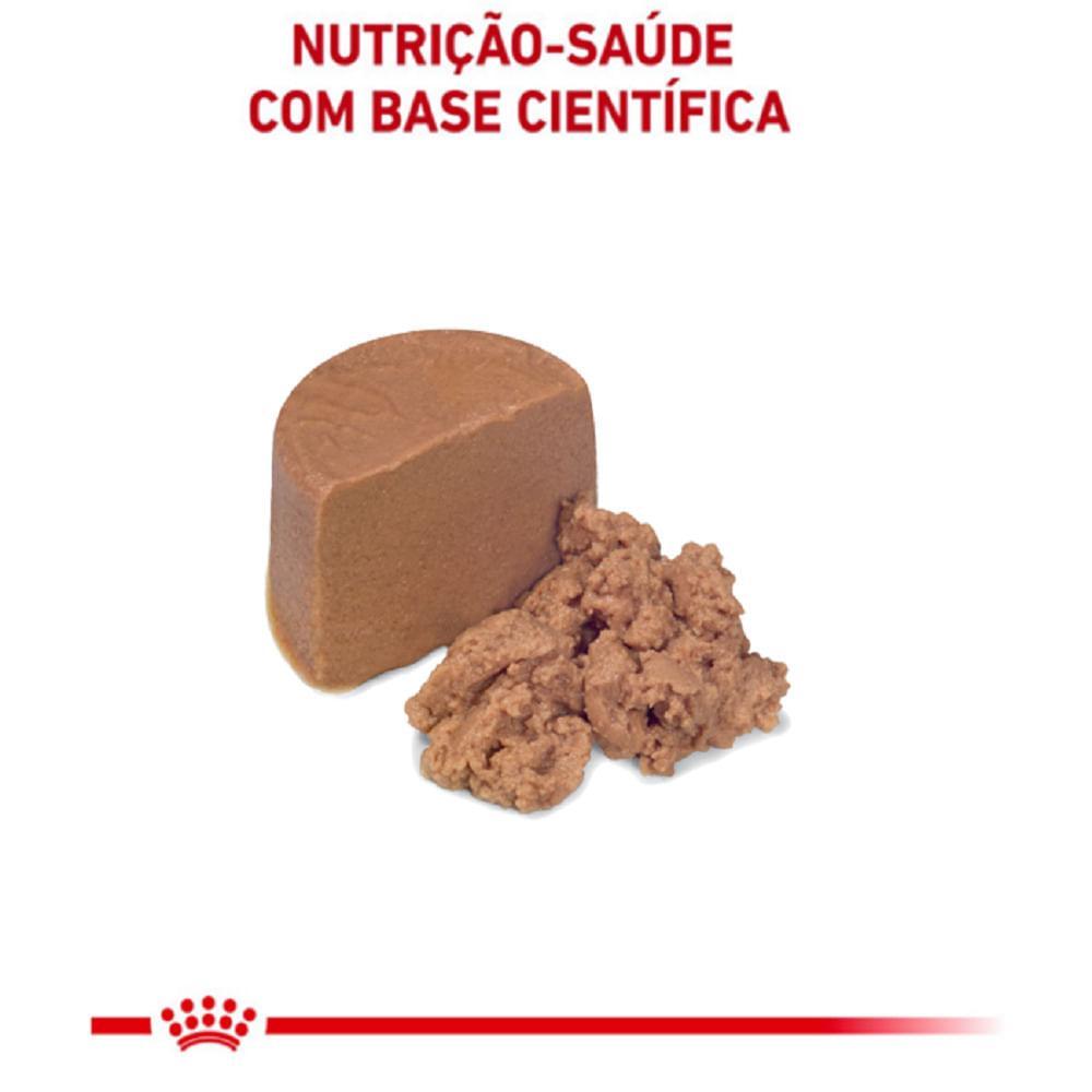 Ração Úmida Royal Canin Lata Veterinary Diet Recovery para Cães e Gatos em Recuperação - 4
