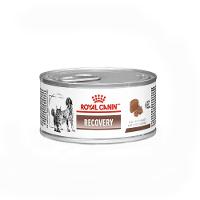 Ração Úmida Royal Canin Lata Veterinary Diet Recovery para Cães e Gatos em Recuperação - 1
